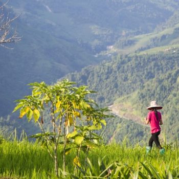 Mountains-Sapa-Vietnam-farmer