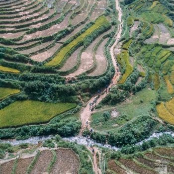 Impressive rice fields of Sapa captured from above